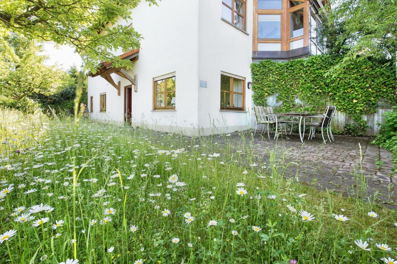 Iris * Walsdorf (Bavaria)
